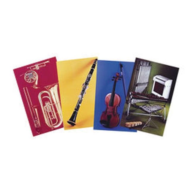 Meet the Instruments