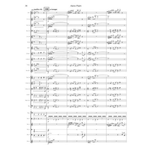 Lias, Stephen - Alpine Flight