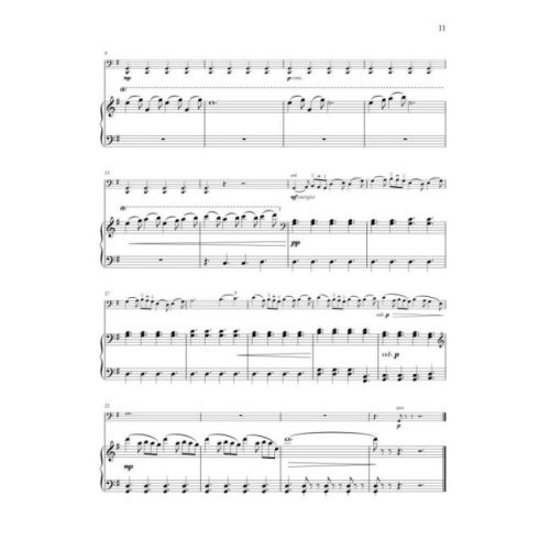 Borrett, Joanna - Wild Cello