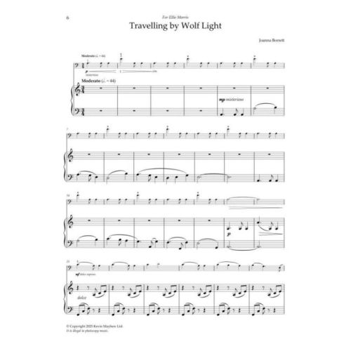 Borrett, Joanna - Wild Cello