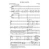 Muhly, Nico - Every Love