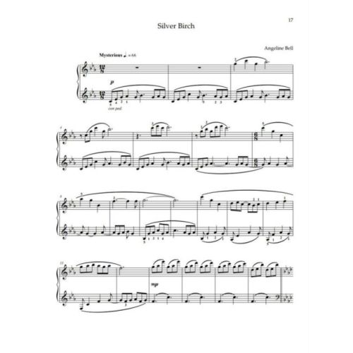 Bell, Angeline - My Forest Notebook