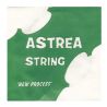Astrea Small Size Violin Strings