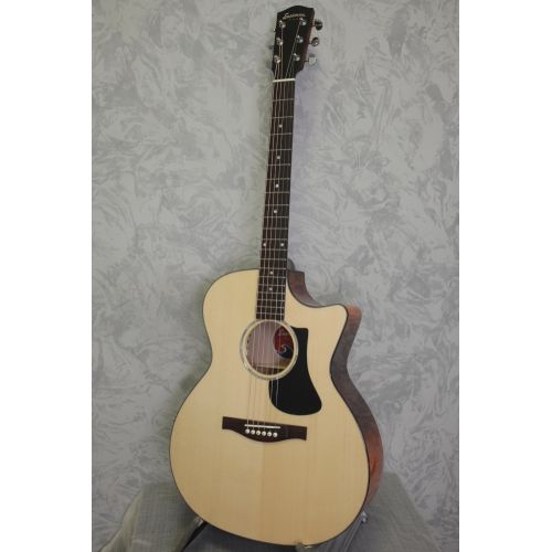 Eastman PCH 3 GACE