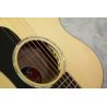 Eastman PCH 3 GACE