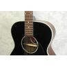 Eastman PCH-2 OM Black