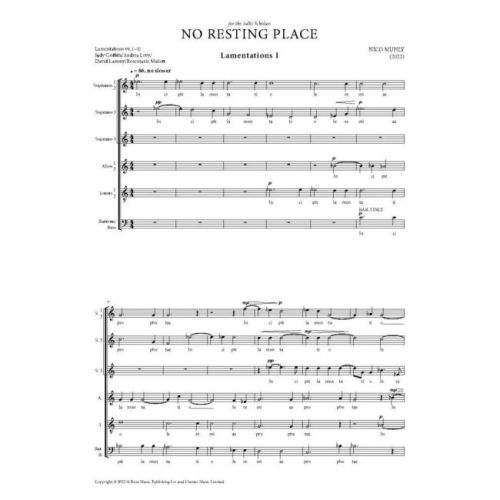 Muhly, Nico - No Resting Place