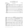 Muhly, Nico - No Resting Place