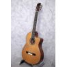 Cordoba 12 Natural Fusion Electro Classical Guitar