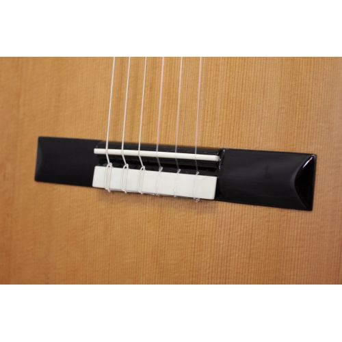 Cordoba 12 Natural Fusion Electro Classical Guitar