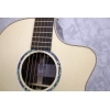 Faith Neptune High Gloss 3 Acoustic Guitar