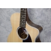 Martin SC-13E Acoustic Guitar